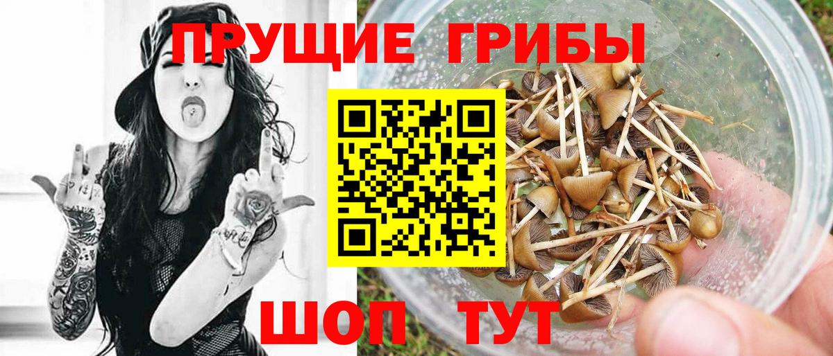 Нововоронеж  Псилоцибиновые грибы MAGIC MUSHROOMS  Вход с VPN  Псилоцибиновые грибы прущие грибы 