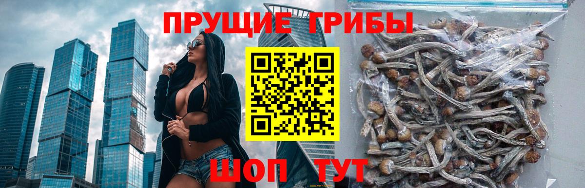 Галлюциногенные грибы мухоморы Нововоронеж